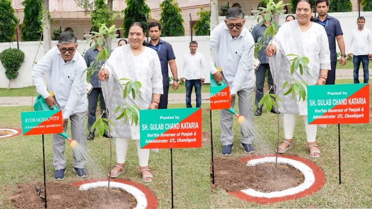 Governor Gulab Chand Kataria planted Rudraksh sapling at Punjab Raj Bhavan ਰਾਜਪਾਲ ਗੁਲਾਬ ਚੰਦ ਕਟਾਰੀਆ ਨੇ ਪੰਜਾਬ ਰਾਜ ਭਵਨ ਵਿਖੇ ਰੁਦਰਾਕਸ਼ ਦਾ ਬੂਟਾ ਲਾਇਆ