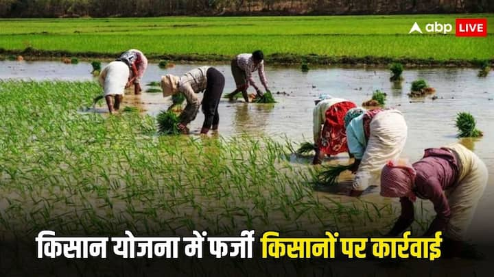 PM Kisan Yojana Complaint: अगर आपको लग रहा है कोई किसान योजना में फर्जी तरीके से लाभ ले रहा है. तो आप उसकी शिकायत कर सकते हैं. ऐसे लोगों पर कार्रवाई की जाएगी. यहां करें शिकायत.