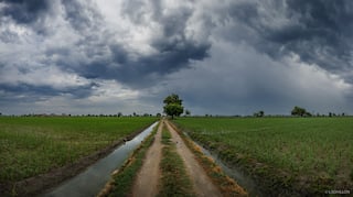 Punjab Weather Forecast: ਪੰਜਾਬ 'ਚ ਮਾਨਸੂਨ ਦਾ ਮੰਦਾ ਹਾਲ, ਅੱਜ ਇਹਨਾਂ ਥਾਵਾਂ 'ਤੇ ਨਿਕਲੇਗੀ ਧੁੱਪ ਤੇ ਇੱਥੇ ਛਾਏ ਰਹਿਣਗੇ ਬੱਦਲ