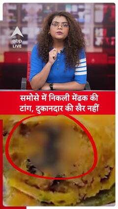 Ghaziabad News: Frog Leg Found in Samosa, Leads to Chaos at the Shop