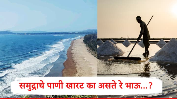 Sea Water: समुद्राचे पाणी इतके खारट आहे की ते पिण्यासाठी अजिबात वापरता येत नाही.