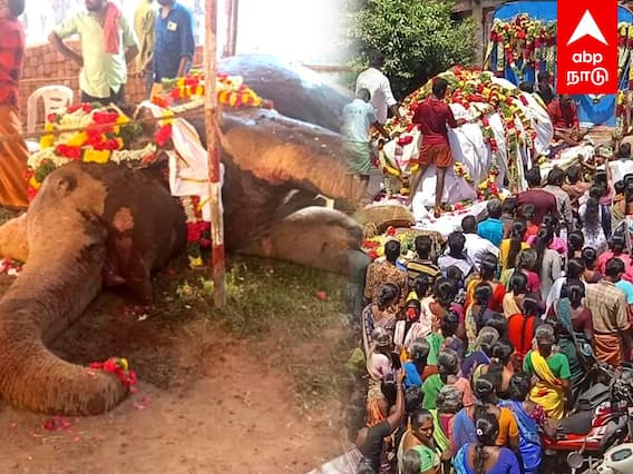 Elephant Subbulakshmi | உயிரிழந்த குன்றக்குடி யானை! கதறி அழுத மக்கள்! சுப்புலட்சுமியின் இறுதி காட்சி