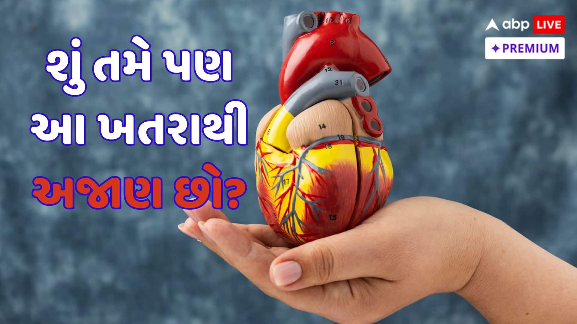 સિદ્ધાર્થ શુક્લાથી વિકાસ સેઠી સુધીઃ ફિટનેસ હોવા છતાં શા માટે યુવાનો સાયલન્ટ હાર્ટ એટેકનો શિકાર બની રહ્યા છે?