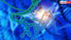 फैमिली में कैंसर से हुई है किसी की मौत तो आपको भी हो सकता है खतरा, ऐसे कराएं चेक