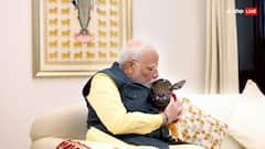 Deepjyoti: फिर दिखा PM का पशु प्रेम! कौन है 'दीपज्योति', जिसे गोद में ले चूमते और दुलारते दिखे नरेंद्र मोदी? देखें- PHOTOS