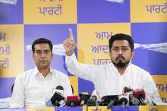 Punjab News: ਸੁਪਰੀਮ ਕੋਰਟ ਦੇ ਫੈਸਲੇ ਨੇ ਕਰ ਦਿੱਤਾ ਸਾਬਤ ਕਿ ਕੇਜਰੀਵਾਲ ਦੀ ਗ੍ਰਿਫਤਾਰੀ ਸੀ ਭਾਜਪਾ ਦੀ ਸਾਜ਼ਿਸ਼-ਆਪ