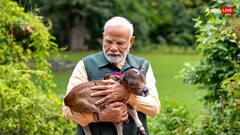 Deepjyoti: फिर दिखा PM का पशु प्रेम! कौन है 'दीपज्योति', जिसे गोद में ले चूमते और दुलारते दिखे नरेंद्र मोदी? देखें- PHOTOS