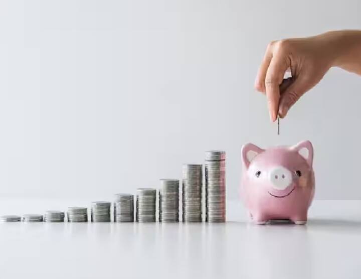 Mutual Fund Investment: म्युच्यूअल फंडात गुंतवणूक करण्याचा विचार करत असाल तर काही बाबी लक्षात घेणे गरजेचे आहे. या मंचावर गुंतवणूक करताना योग्य म्युच्यूअल फंड निवडणे फार महत्त्वाचे आहे.