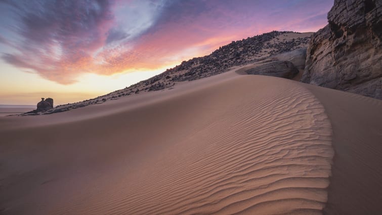 Sahara Desert Rare Rainfall Adds Vegetation After Influx Of Rain Intertropical Convergence Zone Is Sahara Turning Green? Rare Weather Shift Adds Vegetation To 'Driest Place On Earth'