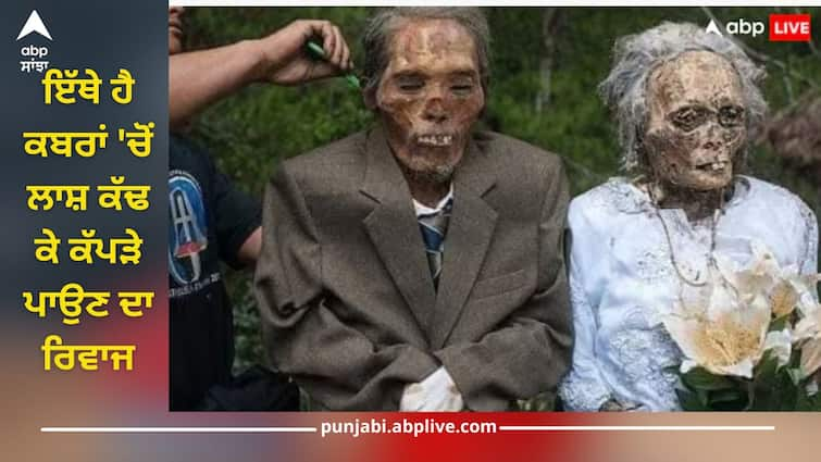 indonesia custom of taking out dead body from grave and dressing it in clothes know story behind it details inside abpp ਇੱਥੇ ਹੈ ਕਬਰਾਂ 'ਚੋਂ ਲਾਸ਼ ਕੱਢ ਕੇ ਕੱਪੜੇ ਪਾਉਣ ਦਾ ਰਿਵਾਜ, ਜਾਣੋ ਇਸ ਦੇ ਪਿੱਛੇ ਦੀ ਕਹਾਣੀ