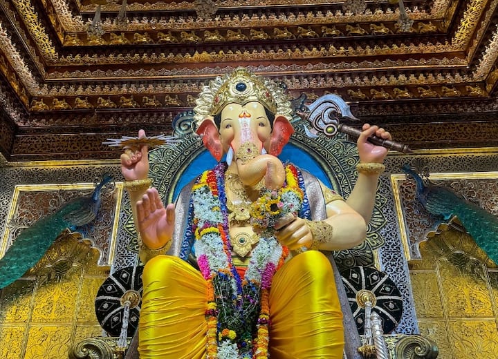 नवसाला पावणारा राजा अशी ख्याती लालबागच्या राजाची आहे, त्यामुळे राजाच्या दर्शनासाठी देशभरातून नागरिक मोठ्या प्रमाणात गर्दी करतात.