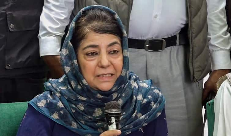 People's Democratic Party (PDP) president Mehbooba Mufti Jammu and Kashmir election PDP Contesting J&K Elections To Stop BJP From Burying Article 370, Kashmir Issue: Mehbooba Mufti