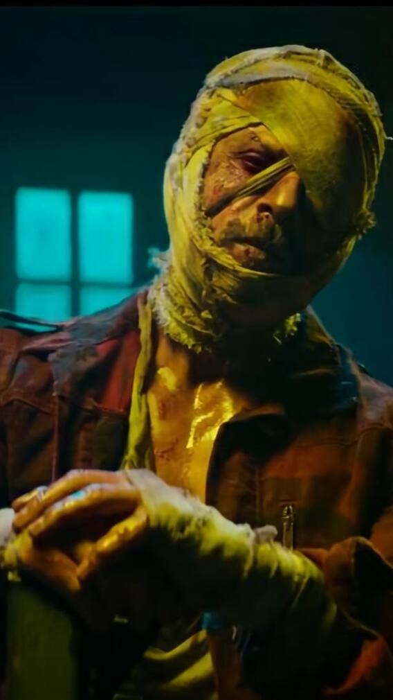 Jawan To Raees: Shah Rukh Khan's Top 10 Highest Grossing Films