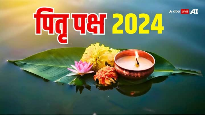 Pitru Paksha 2024: 18 सितंबर 2024 से पिंडदान, ब्राह्मण भोजन, तर्पण, दान आदि कार्य आरंभ हो जाएगा. पितृ पक्ष में तर्पण के अलावा कुछ खास पेड़ों की पूजा और जल अर्पित जरुर करें, इससे पितर प्रसन्न होते हैं.