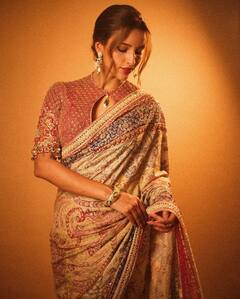 Triptii Dimri Charms With Her Ethereal Look In A Designer Saree; SEE PICS