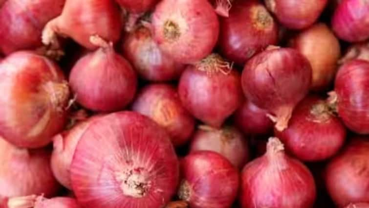 Onion Export After reduction in export duty on onion the speed of export will come Onion price hiked by Rs 500 in Nashik Maharashtra Marathi News Onion Export : कांद्यावरील निर्यात शुल्कात कपात केल्यानंतर निर्यातीला येणार वेग, नाशिक जिल्ह्यात मिळतोय 'इतका' भाव