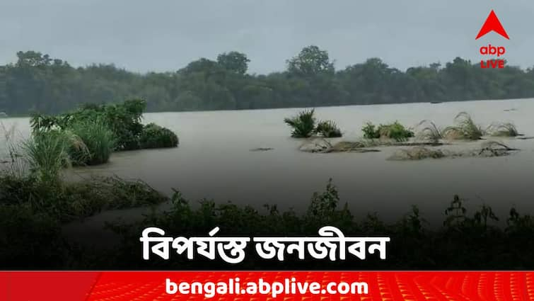 Weather Update Bankura River Overflowing due Depression Weather Update: নিম্নচাপের জেরে অবিরাম ধারাপাত, ফুঁসছে নদী, বিপদসীমার উপরে জলস্তর