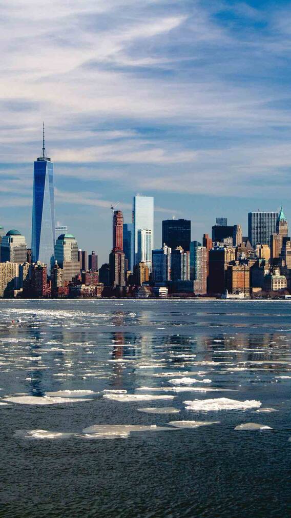 कौन से देश में रहते हैं सबसे ज्यादा भारतीय?