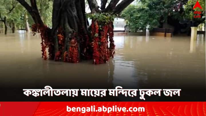 Weather Update: বক্রেশ্বর নদীর জল বেড়ে ডুবে গিয়েছে বোলপুরে আমোদপুর রাস্তা। যান চলাচল বন্ধ।