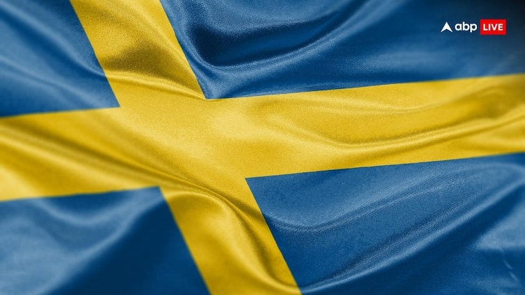 Sweden Facing Muslim Immigration Challenge Asking Leave Country and get Dollars मुस्लिमों के देश छोड़ने पर ये देश दे रहा लाखों रुपए, जानें क्या है माजरा