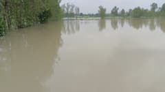 मुरादाबाद में बाढ़ से हालात खराब, गांव में घुसा पानी-खेत बने तालाब, किसानों की फसलें हुई बर्बाद