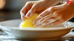 ALERT! किचन में रखा बर्तन साफ करने वाला स्क्रब कर सकता है किडनी खराब