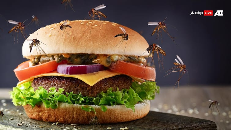 Disgusting Burger In Africa Lake Victoria people make mosquito burgers and eat them video goes viral इस देश में लोग मच्छरों का बर्गर बनाकर खाते हैं, वजह जानकर हैरान रह जाएंगे आप