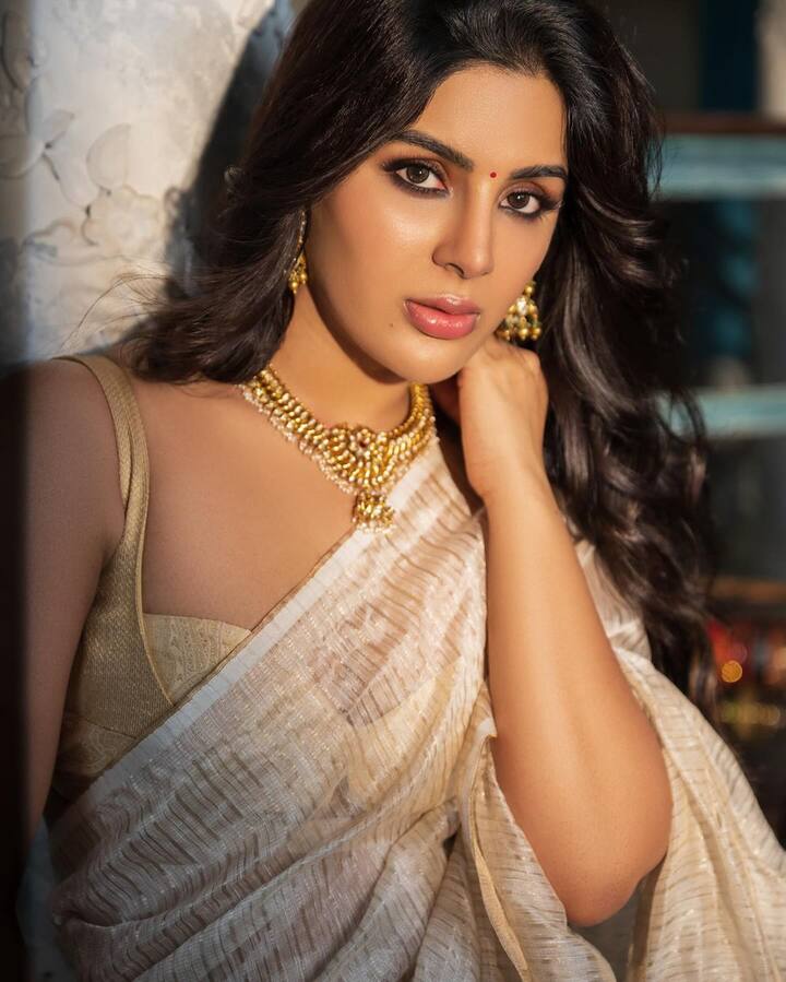 వైట్ శారీ గోల్డెన్ మిక్స్​లో వచ్చిన చీరలో సంయుక్త చాలా అందంగా ముస్తాబైంది. చీరకు తగ్గట్లు స్లీవ్​ లెస్ బ్లౌజ్ వేసుకుని.. తన డ్రెస్ లుక్స్​ని ఫైనల్ చేసింది.(Images Source : Instagram/Samyuktha)