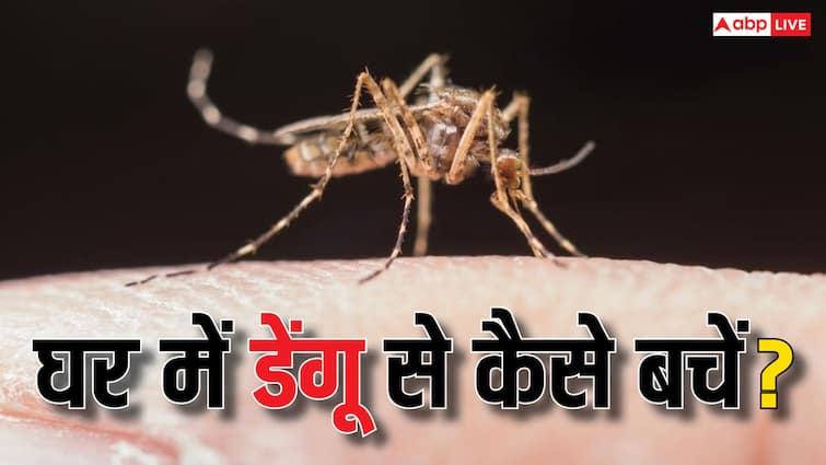 Dengue fever becomes deadly again in Delhi, know how to keep this disease away from your home