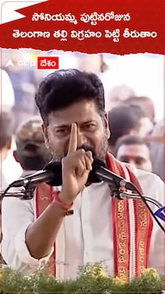 సోనియమ్మ పుట్టినరోజున తెలంగాణ తల్లి విగ్రహం పెట్టి తీరుతాం.!