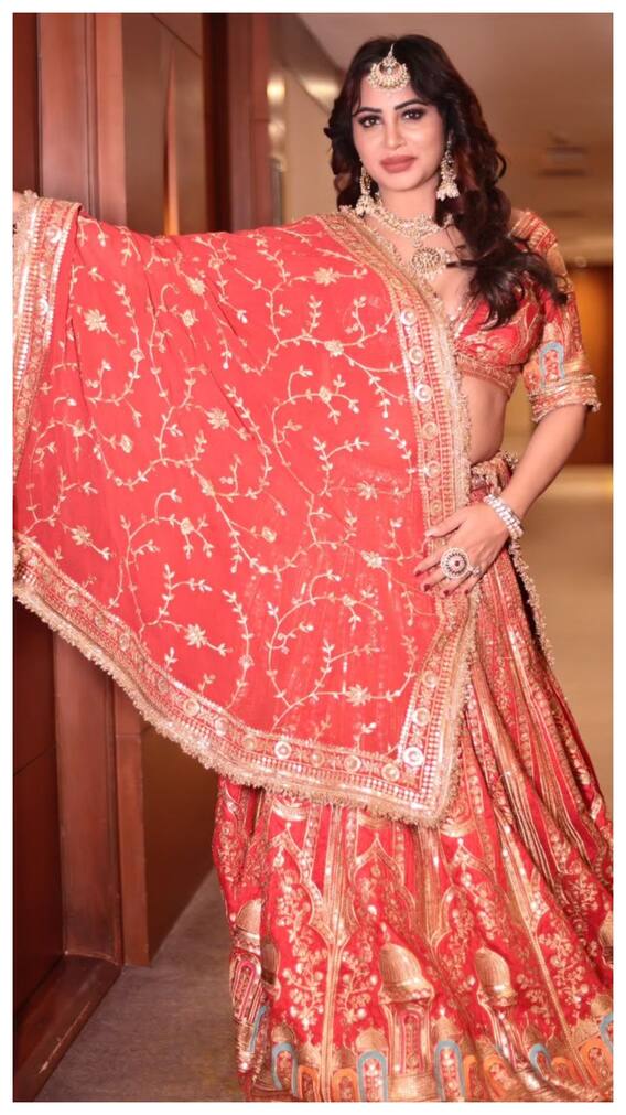 अर्शी खान छोड़ने वाली थीं इंडस्ट्री, फिर एक कॉल ने बदल दी जिंदगी