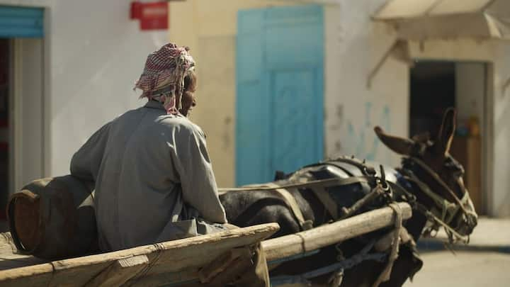 These days there is a huge demand for donkeys in Pakistan. This is the reason why the prices of donkeys in the country are skyrocketing. The reason for the increase in these prices is Pakistan's closest and special friend China. Because in China the skin of donkeys is used in medical and beauty products.