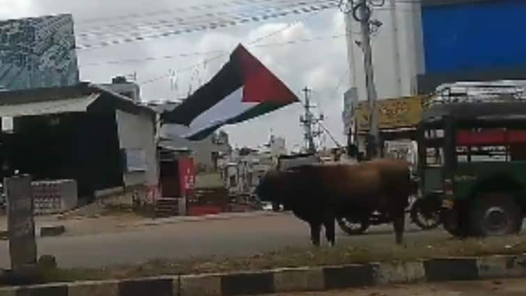 Karnataka Chikkamagaluru viral video six minor boys has taken to custody for waving the Palestinian flag on two wheelers कर्नाटक में अब फिलिस्तीनी झंडे पर बवाल, हिरासत में लिए गए छह नाबालिग, जानें वायरल वीडियो का सच