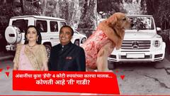 अंबानींचा कुत्रा 'हॅपी' 4 कोटी रुपयांच्या कारचा मालक, कोणती आहे 'ती' गाडी?