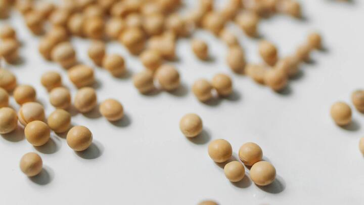 ছবি সূত্র - পিক্সেলস। ডায়াবেটিসের রোগীরা ছোলার ডাল খেতে পারেন। প্রচুর পরিমাণে ফাইবার থাকার এই ডাল খেলে পেট ভরে থাকবে অনেকক্ষণ।