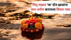 Pitru Paksha 2024: पितृ पक्षात 'या' दोन झाडांना जल अर्पण करा; पितर नेहमी प्रसन्न राहतील