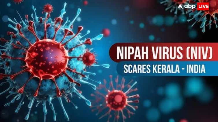 nipah in kerala virus causes symptoms risk factors treatment in hindi Nipah Virus: केरल में निपाह संक्रमित की मौत क्या खतरे की घंटी? जानें क्या है ये वायरस, कितना खतरनाक