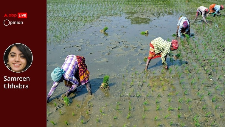 Odisha Women Example Climate Resilience Helping Hand Opinion: Odisha Women Are Setting An Example In Climate Resilience. It’s Time They Get A Helping Hand