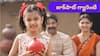 Central Govt Scheme: రూ.10,000 కట్టండి, రూ.56 లక్షలు తీసుకెళ్లండి - ఈ జాక్‌పాట్‌ ఆడపిల్ల తండ్రులకు మాత్రమే