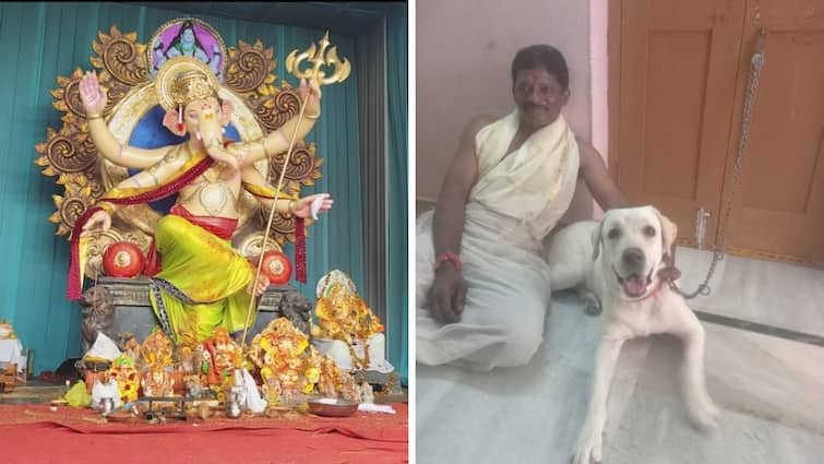 Warangal Dog got Laddu in auction in Vinayaka chavithi Warangal: గణపతి లడ్డూను వేలంలో దక్కించుకున్న కుక్క, ఆశ్చర్యపోయిన భక్తులు!