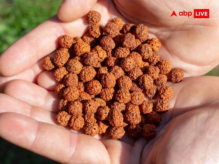 रुद्राक्ष: सातमुखी रुद्राक्ष धारण करने वालों को शनि देव का प्रकोप नहीं झेलना पड़ता है. इसलिए आप सात मुखी रुद्राक्ष धारण कर सकते है या फिर अपने घर के मंदिर में इसे रख सकते हैं.