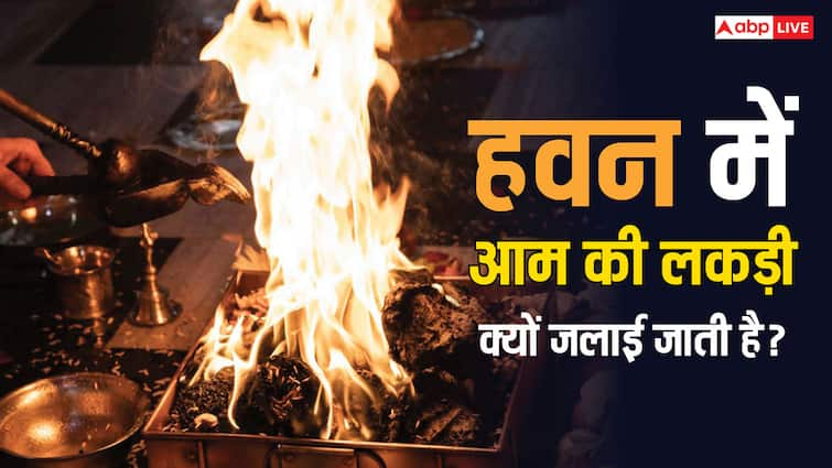 aam ki lakdi jalane ke fayde Why is mango wood burnt in Havan Aam Ki Lakdi: हवन में आम की लकड़ी क्यों जलाई जाती है?