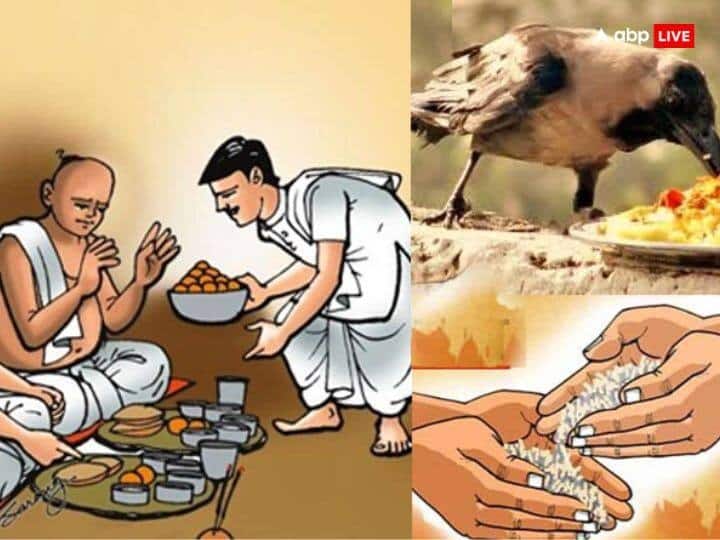 મઘ નક્ષત્રના પ્રમુખ દેવતા પૂર્વજો છે. માઘ શ્રાદ્ધના દિવસે જ્યારે કોઈ વ્યક્તિ પોતાના પિતૃઓનું શ્રાદ્ધ કરે છે, ત્યારે તેના દ્વારા કરવામાં આવેલ પ્રસાદ અને દાનનું પુણ્ય ફળ પૂર્વજોને કોઈપણ વિલંબ કે અવરોધ વિના પ્રાપ્ત થાય છે. આ વર્ષે માઘ શ્રાદ્ધ 29 સપ્ટેમ્બરે છે.