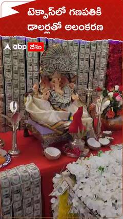 డాలర్ గణేశుడు.. భలే ఉన్నాడు..