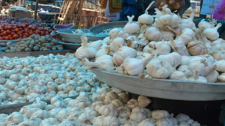 Garlic Prices Surge: Impact on Housewives and the Reasons Behind the Increase ”ராக்கெட் போல் உச்சத்திற்கு சென்ற விலை - குடும்பத் தலைவிகள் வேதனை” இதுதான் காரணமா..?