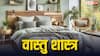 Vastu Tips: पति-पत्नी इन पौधों से सजाएं अपना कमरा, तनाव होगा दूर बढ़ेगा आपसी प्रेम