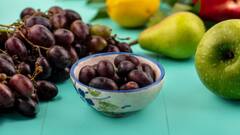 Jamun Benefits: প্রেগনেন্সির সময়ে অমৃতের মত কাজ দেয় এই ফল, কী কী উপকার ?