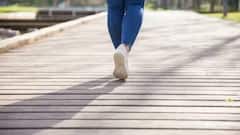 Weight Loss: ਬਿਨਾਂ ਜਿੰਮ ਜਾਂ ਡਾਈਟਿੰਗ ਤੋਂ ਵੀ ਤੁਸੀਂ ਹੋ ਸਕਦੇ ਹੋ ਫੈਟ ਤੋਂ ਫਿੱਟ, ਬੱਸ ਰੁਟੀਨ ਵਿੱਚ ਸ਼ਾਮਲ ਕਰੋ ਇਹ ਐਕਸਰਸਾਈਜਸ