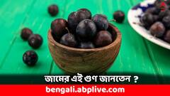 Jamun Benefits: প্রেগনেন্সির সময়ে অমৃতের মত কাজ দেয় এই ফল, কী কী উপকার ?