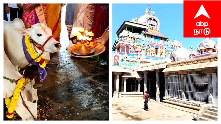 Mayladuthurai Sirkali sattainathar Temple Puradasi month special worship - TNN சீர்காழி சட்டைநாதர் கோயிலில் புரட்டாசி மாத பிறப்பை அடுத்து சிறப்பு வழிபாடு!